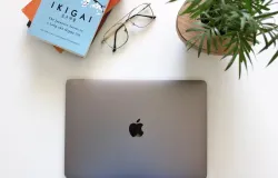 Di Jepang, istilah Ikigai menjadi sebuah filosofi dalam kehidupan sehari-hari. (Sumber: Pexels/Om Thakkar)