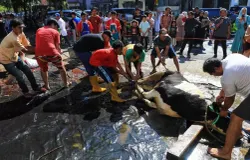 Warga saat akan memotong hewan kurban jenis sapi dan domba di Halaman Masjid Lautze 2, Jalan Tamblong, Kota Bandung, Senin 17 Juni 2024. (Sumber: Ayobandung.com/Irfan Al-Faritsi) | Foto: Ayobandung.com/Irfan Al-Faritsi))