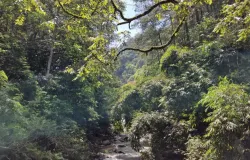 Taman Hutan Raya Ir. H. Djuanda Bandung (Sumber: Document Pribadi | Foto: Yayang Nanda Budiman)