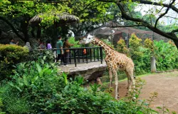 Pengunjung saat berlibur ke Bandung Zoo, Jalan Tamansari, Kota Bandung. (Sumber: Ayobandung | Foto: Irfan Al Faritsi)