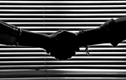 Rilis tahun 1990 yang di produseri Iwan Fals sendiri, lagu Tikus-Tikus Kantor tercipta sebagai kritikan terhadap para koruptor yang banyak berada di lingkungan Kantor Pemerintahan atau Perusahaan. (Sumber: Pexels/Savvas Stavrinos)