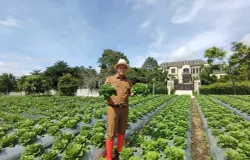 Gin Gin Ginanjar. Di bawah kepemimpinannya, program Buruan SAE meraih berbagai penghargaan nasional dan internasional. (Sumber: Humas DKPP Bandung | Foto: Humas DKPP Bandung)