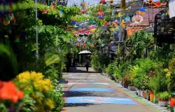 Krisis iklim global menerpa kampung/kota di Indonesia (Sumber: https://muhammadiyah.or.id/2023/08/atasi-krisis-iklim-muhammadiyah-digandeng-klhk-bangun-20-ribu-kampung-iklim-di-seluruh-indonesia/)