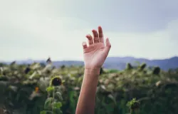 Tangan manusia. (Sumber: Pexels/Tan Danh)