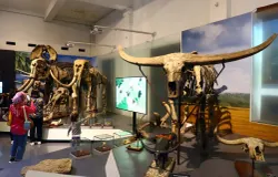 Museum Geologi Bandung. (Sumber: Ayobandung.id | Foto: Irfan Al-Faritsi)