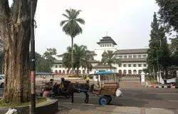 Delman bejajar di depan Gedung Sate, menanti wisatawan yang hendak berkeliling Bandung. (Sumber: ayobandung.com | Foto: Magang Ayobandung/Shilvia Yulianti Sumarna)
