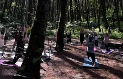Suasana yoga BloomMe dengan tenang dan harmonis di tengah alam, Tangkal Pinus, Kecamatan Lembang, Kabupaten Bandung Barat, Minggu, (28/9/2025). (Sumber: Risti Riana))