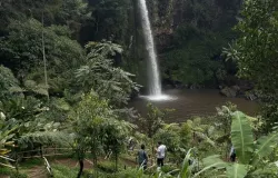Wisatawan sedang menuruni tangga bebatuan menuju dasar air terjun untuk menikmati pesona alam Desa Kertawangi, Kecamatan Cisarua, Kabupaten Bandung Barat, Sabtu (01/11/2025) (Sumber: Sumber : Dokumentasi Penulis | Foto: Foto : Hilyatul Auliya)