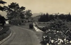 Pemandangan jalan menuju Observatorium Bosscha tahun 1930-an. (Sumber: KITLV)