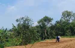 Petani di Kebun (Sumber: Dokumentasi Pribadi | Foto: Arfi Pandu Dinata)