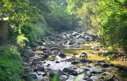 Sungai Cikapundung Kampung Cibarani Kota Bandung (Foto: Dokumen River Clean up)
