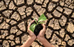 Tugas kita hari ini adalah menanam benih peradaban bumi yang hijau. Sekecil apapun itu karena menjaga bumi adalah bagian dari ibadah seorang Hamba kepada Pencipta-Nya. (Sumber: Freepik)