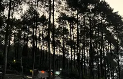 Suasana senja di kawasan Gunung Puntang, Bandung Selatan. (Sumber: Dokumentasi Penulis | Foto: Naila Salsa Bila)