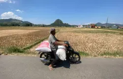 Ilustrasi kemarau di masa panen. (Sumber: Ayobandung.id | Foto: Restu Nugraha)