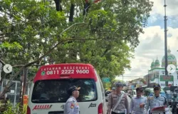 Penindakan praktik parkir liar terhadap sejumlah perusahaan travel di Jalan Dipatiukur, Kota Bandung. (Sumber: Instagram/@infobandungkota)