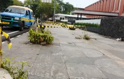 Lokasi pohon-pohon yang diduga ditebang tanpa izin pemerintah. (Sumber: Ayobandung.id | Foto: Gilang Fathu Romadhan)