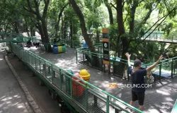 Pengunjung berjalan di Forest Walk Babakan Siliwangi, Kota Bandung, Selasa 16 Januari 2024. (Sumber: Ayobandung.com | Foto: Irfan Al-Faritsi)