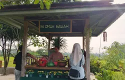 Cianjur memang selalu punya tempat menarik untuk dikunjungi (Sumber: Dokumentasi Penulis | Foto: Dias Ashari)