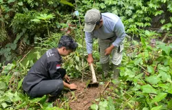 Mahasiswa HIMKAS Bandung Raya bersama warga setempat melakukan penanaman bibit pohon di kawasan Curug Janari, Kampung Campaka, Desa Buniara, Kecamatan Tanjungsiang, Kabupaten Subang. (Sumber: Dok. HIMKAS Bandung Raya | Foto: Jajang Shofar Khoerudin)