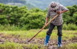 Ilustrasi pekerja lansia (Sumber: Freepik)