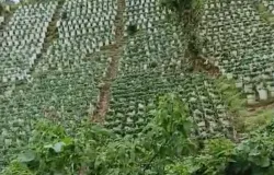 Salah satu sudut TWA Cimanggu-Ciwidey. (Foto: Dokumen pribadi)