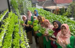 Buruan Sae, memanfaatkan pekarangan dengan tanaman sayuran. (Sumber: Pemprov Jabar)