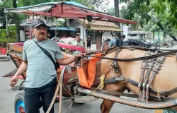 Ade, kusir delman di sekitar wilayah Gedung Sate. (Sumber: ayobandung.id | Foto: Nisrina Nuraini)
