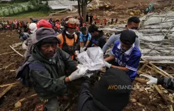Tim SAR gabungan melakukan pencarian korban bencana tanah longsor di Kampung Pasir Kuning, Desa Pasirlangu, Cisarua, Kabupaten Bandung Barat, Selasa 27 Januari 2026 (Sumber: Ayobandung.com | Foto: Irfan Al-Faritsi)