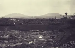 Potret Gunung Burangrang dan Gunung Tangkubanparahu tahun 1921. (Sumber: KITLV)