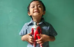 Kakang asyik bergaya dengan mainan Ultraman kado istimewa ulang tahun kelima, Ahad (5/7/2026) (Sumber: Istimewa | Foto: IBN GHIFARIE)