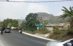 Pohon yang penuh debu halus dari pertambangan kapur. (Minggu, 19/06/2025) (Sumber: Dokumentasi Penulis | Foto: Dias Ashari)