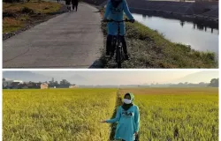 Pemandangan sempadan anak sungai Citarik dan pematang sawah di daerah aliran sungai. (Sumber: dokpri | Foto: Sri Maryati)