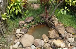 Kondisi terkini situs mata air asin purba (connate water) di Desa Ciuyah, Kecamatan Cisarua, Kabupaten Sumedang, Jawa Barat, saat didokumentasikan pada 28 Maret 2026 pukul 10.50 WIB. (Sumber: Dokumentasi Pribadi | Foto: Fatia Siti Biladi)