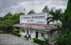 Kebun Kopi Karanganyar (Sumber: Wikimedia Commons)