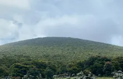 Pemandangan Indah Surya Kencana di Gunung Gede. (Sumber: Dokumentasi Pribadi | Foto: Moch Shezar Rachman)