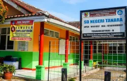 SD Negeri Tanara di Kampung Cibolang, Desa Banjarsari, Kecamatan Pangalengan, Kabupaten Bandung. (Sumber: Dokumentasi Penulis)