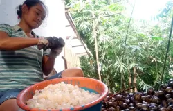 Penjual kolang kaling. (Sumber: Ayobandung.com | Foto: Tri Junari)