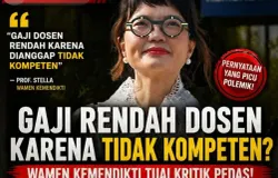 Pernyataan Wamendiktisaintek, Stella Christie "Gaji rendah dosen karena tidak kompeten". (Sumber: TikTok/@alee.gresik)