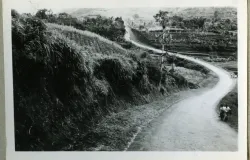 Tanjakan Cibogo tahun 1955. Masih kebun dan sawah, dan sekarang kebun semakin terdesak, sawah telah hilang. (Sumber: wereldculturn.nl)