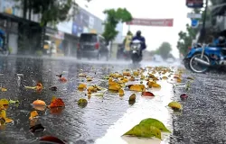 Kota Hujan di Bandung. (Sumber: Humas Kota Bandung)