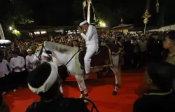 Gubernur Jawa Barat Dedi Mulyadi dan peserta memeriahkan Kirab Budaya Milangkala Tatar Sunda di Jalan Diponegoro, Kota Bandung, Sabtu 16 Mei 2026. (Sumber: Ayobandung.id | Foto: Irfan Al-Faritsi)