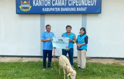 PT PLN Nusantara Power UP Cirata menyalurkan 5 sapi dan 21 kambing kurban kepada masyarakat dan stakeholder di Purwakarta pada Idul Adha 1447 H.