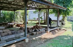Kondisi Situs Candi Bojong Menje di Desa Cangkuang, Kecamatan Rancaekek, Kabupaten Bandung. (Sumber: Dokumentasi pribadi Jailani Abdul Rosyid | Foto: Jailani Abdul Rosyid)