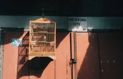 Ilustrasi CCTV. (Sumber: Pexels | Foto: Bezalens JGP)