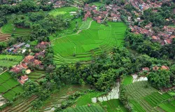 Persawahan berteras-teras di Bandung Selatan, merupakan jejak lemahneundeut yang dikelola dengan baik. (Sumber: T. Bachtiar)