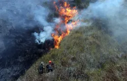Petugas gabungan melakukan pemadaman dan pendinginan kebakaran hutan dan lahan di wilayah Taman Nasional Bromo Tengger Semeru, Jawa Timur, Rabu (12/8). (Sumber: Bidang Komunikasi Kebencanaan)