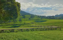 Nuansa Riung Gunung Pangalengan, Wisata Bandung Murah. (Sumber: Instagram | Foto: nuansariunggunung_)