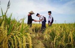Ilustrasi anak sekolah di ladang sawah. (Sumber: Pexels | Foto: Noel Snpr)