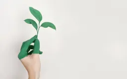 Peran Akuntan dalam Mencegah Praktik Greenwashing pada Laporan Keberlanjutan Perusahaan