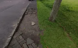 Antara Kegunaan, Estetika, dan Tantangan Penggunaan